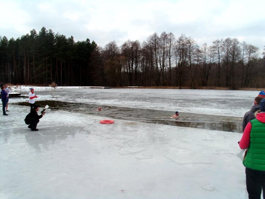 Zimowe mistrzostwa Polski w pływaniu w Zawierciu