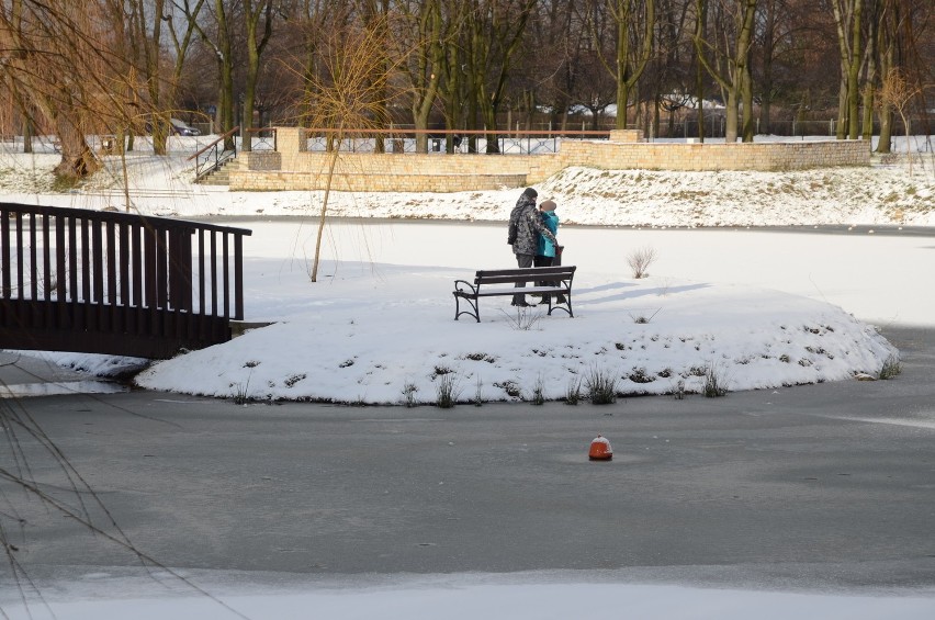Bytom: Zima w parku miejskim im. F.Kachla