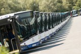 Kraków. Te autobusy wożą nas po mieście. Od autobusów przegubowych do minibusów [ZDJĘCIA]