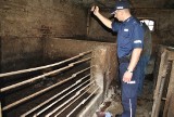 Potarzyca: Zagłodzone zwierzęta znalezione w budynku gospodarczym
