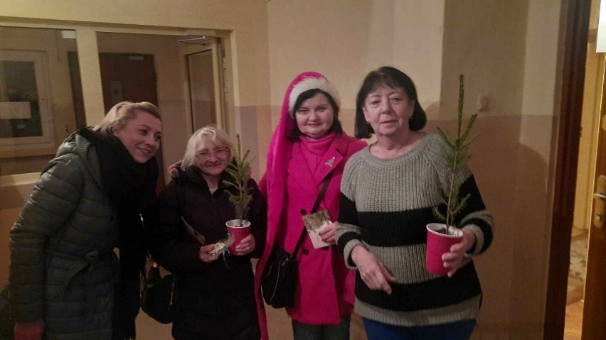 Piękna sąsiedzka akcja. Seniorzy z osiedla KSM w Kielcach zostali obdarowani choinkami i pierniczkami. Zobacz zdjęcia