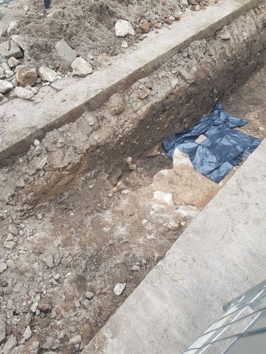 Kraków. Ludzkie kości i mur cmentarza znalezione na ulicy Garbarskiej