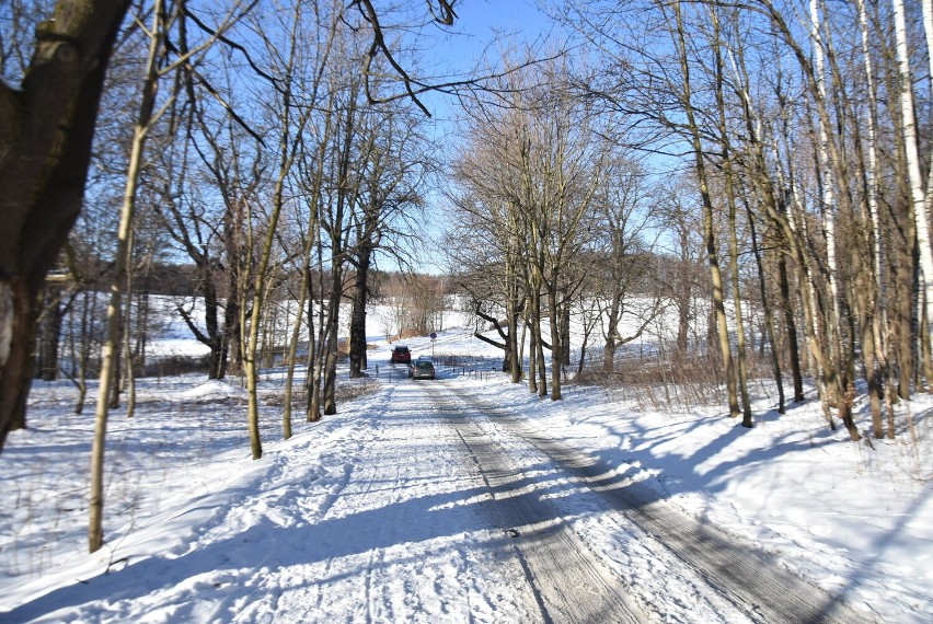 Cudowny, zimowy spacer w parku książańskim