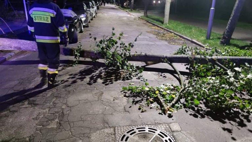 W Kołobrzegu i powiecie kołobrzeskim wiało tak, że drzewa padały. Uszkodziły kilka aut