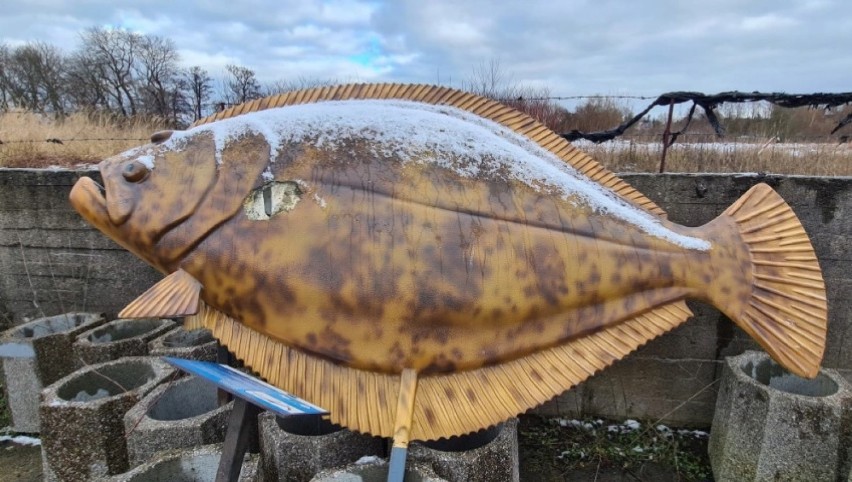 Wielka ryba przebojem kołobrzeskiej, WOŚP-owej licytacji