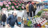 Targowisko przy ul. Kaliskiej we Włocławku - 24 lutego 2024. Tanie warzywa, owoce, pierwsze wiosenne kwiaty. Zdjęcia, ceny
