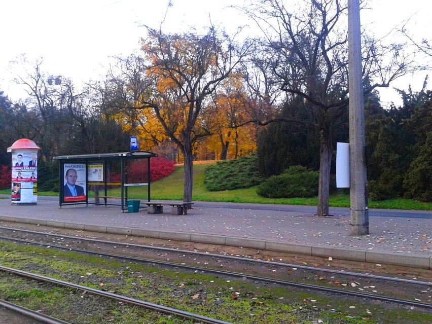 Jesienny Toruń 2014
