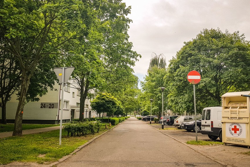 Tak wygląda dziś ulica Niemiecka w Lesznie. 38 drzew ma wktótce trafić pod piły