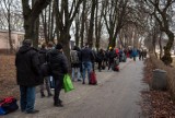 Lubelskie. Chętnych do wstąpienia w szeregi 2 Lubelskiej Brygady OT nie brakowało. Zobacz zdjęcia