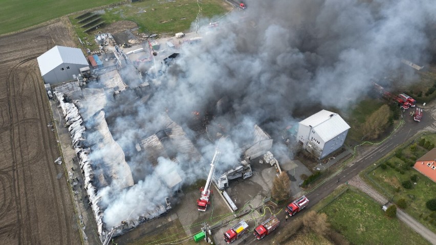 Płoną hale produkcyjne w Kaninie. Z żywiołem walczą 33 zastępy straży pożarnej [FOTO z DRONA, WIDEO]