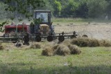 Ankieterzy przepytają 20 tys. rolników z Lubelszczyzny