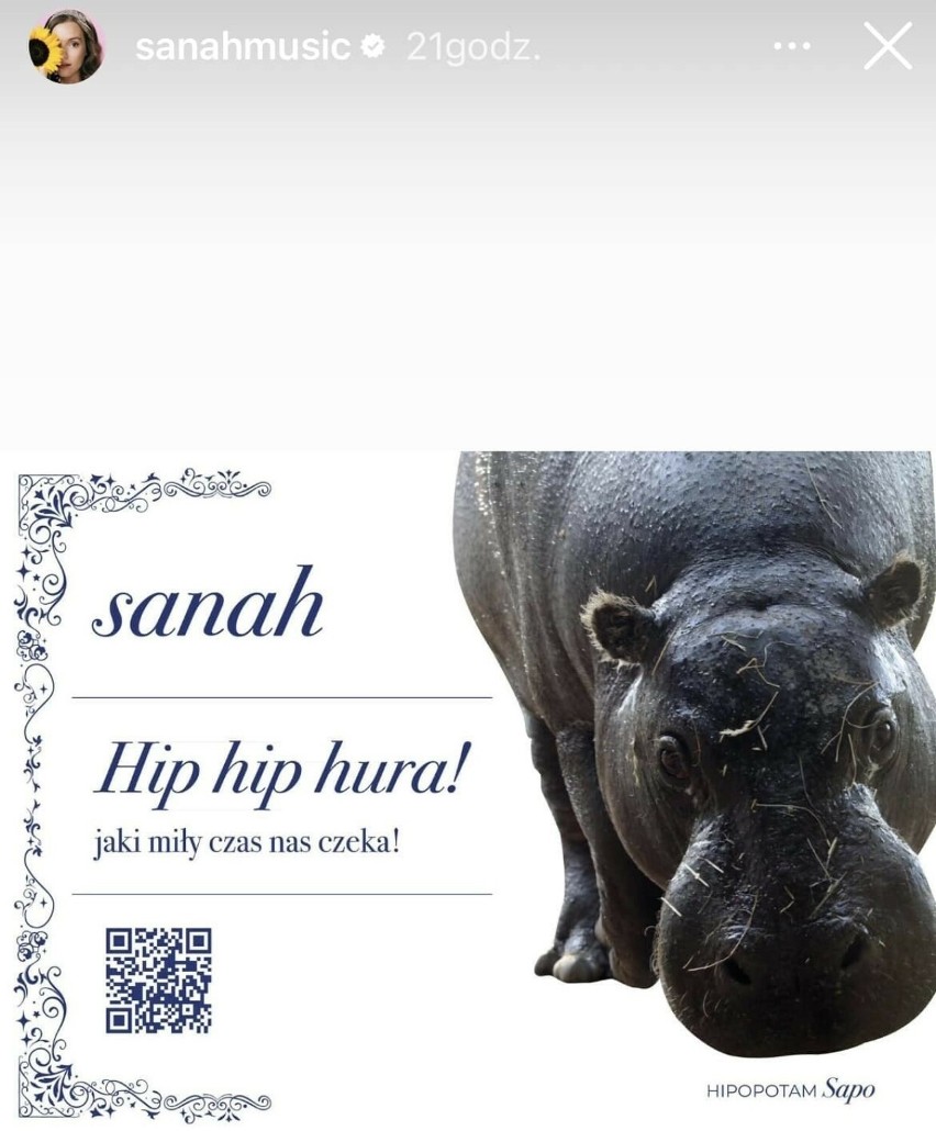 Artystka sanah została opiekunką hipopotamka karłowatego...