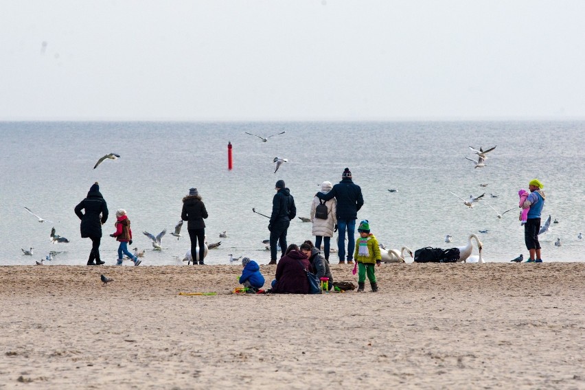 Tłumy na gdyńskiej plaży. Spacerowicze skorzystali z ciepłego i słonecznego poranka. Zobaczcie zdjęcia