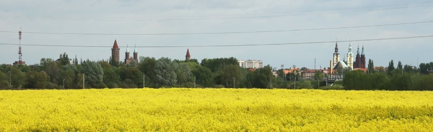 Tak wygląda Legnica widziana z wysokości ulicy Bobrowej [ZDJĘCIA]