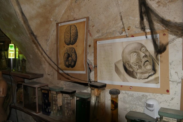Laboratorium dr Frankensteina w Ząbkowicach Śląskich