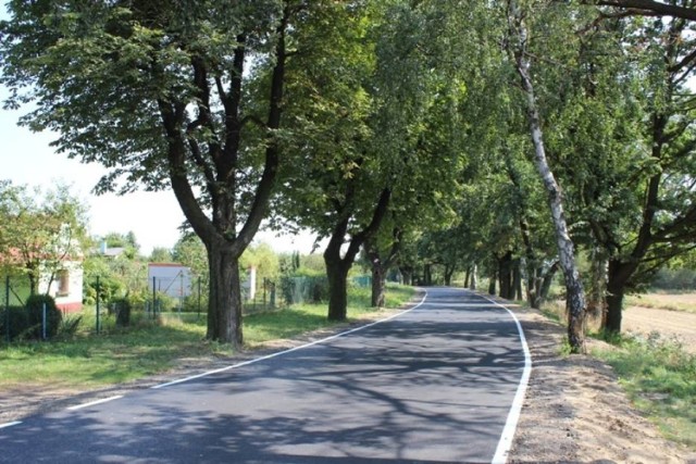 Kierowca opla astry uderzył w drzewo na ul. Owocowej w Żorach