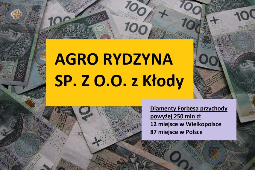 Diamenty Forbesa 2022. Firmy z Leszna i powiatu leszczyńskiego, które znalazły się wśród najszybciej rozwijających się w Polsce
