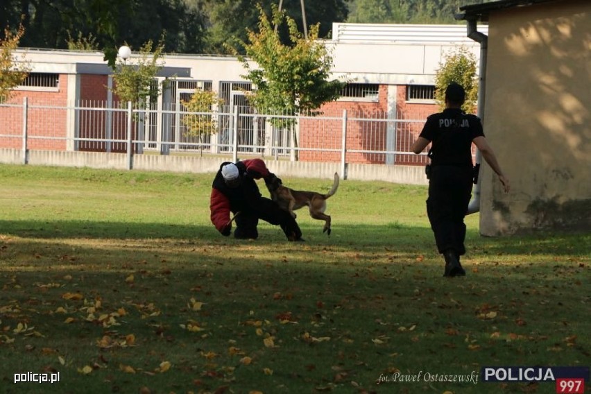 Kaliska policjantka sier. szt. Patrycja Wojtas na najwyższym...