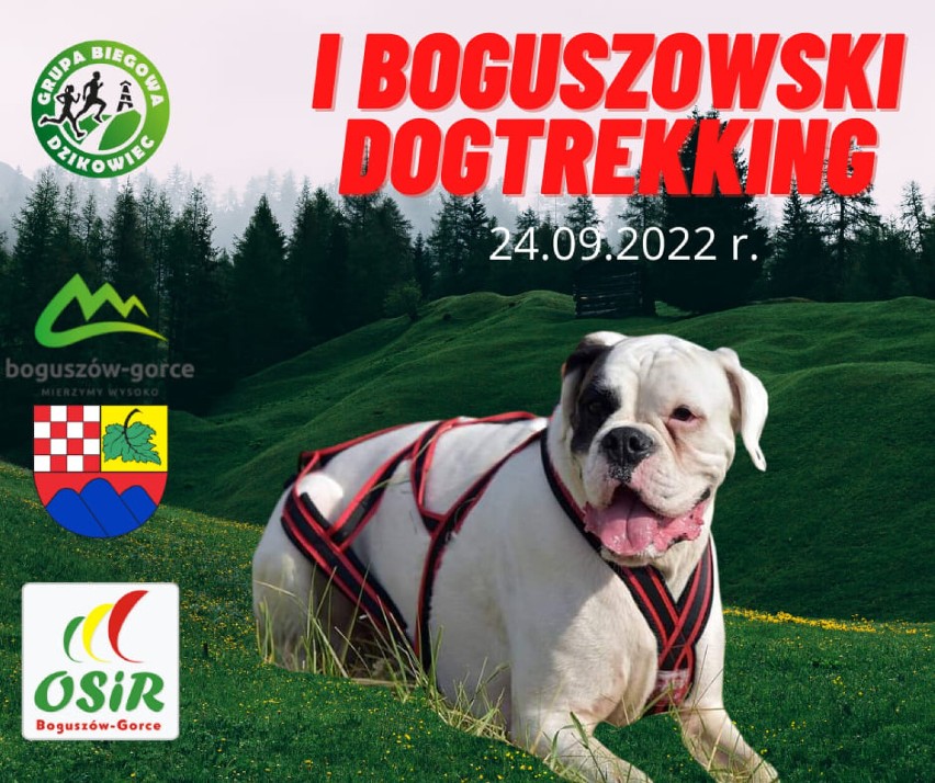 I Boguszowski Dogtrekking (godz. 8)