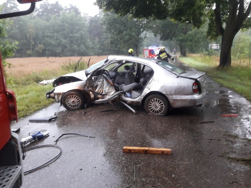 Groźny wypadek pod Bolimowem. Samochód uderzył w przydrożne drzewo. Kierowca w szpitalu [ZDJĘCIA]