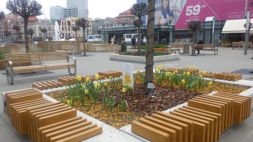 Rynek Katowice