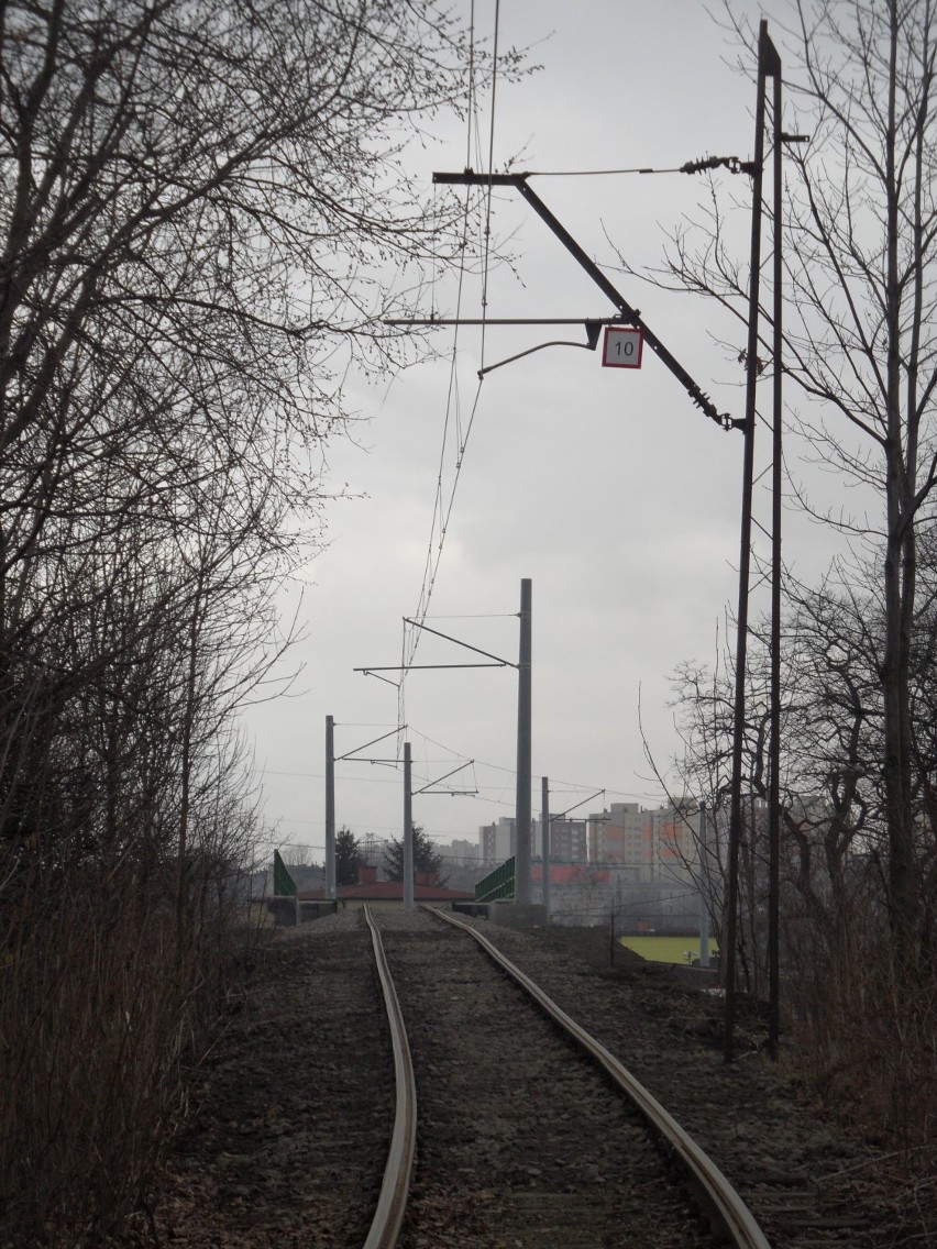 Wykolejenie tramwaju na Dańdówce. Powrót "26" z problemami [ZDJĘCIA]