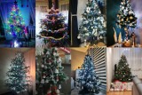 Boże Narodzenie w Jastrzębiu-Zdroju: NAJPIĘKNIEJSZE CHOINKI w domach jastrzębian [GALERIA ZDJĘĆ]