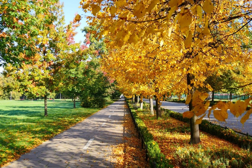Piękna złota jesień w legnickim Parku Miejskim