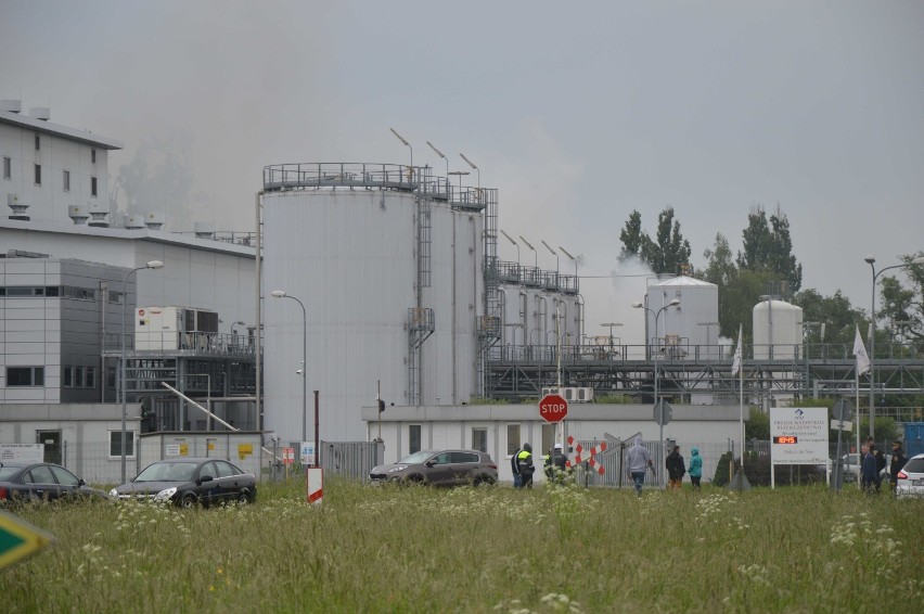 Malbork. Pożar w zakładzie biopaliw przy ul. Dalekiej [ZDJĘCIA, FILMY]. Oświadczenie spółki: "Nie ma zagrożenia"