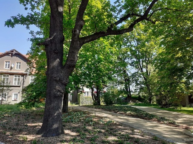 Park Historyczny w Świebodziacach