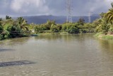Tragedia w turystycznym raju. Ulewne deszcze na Dominikanie pochłonęły życie ponad 20 osób