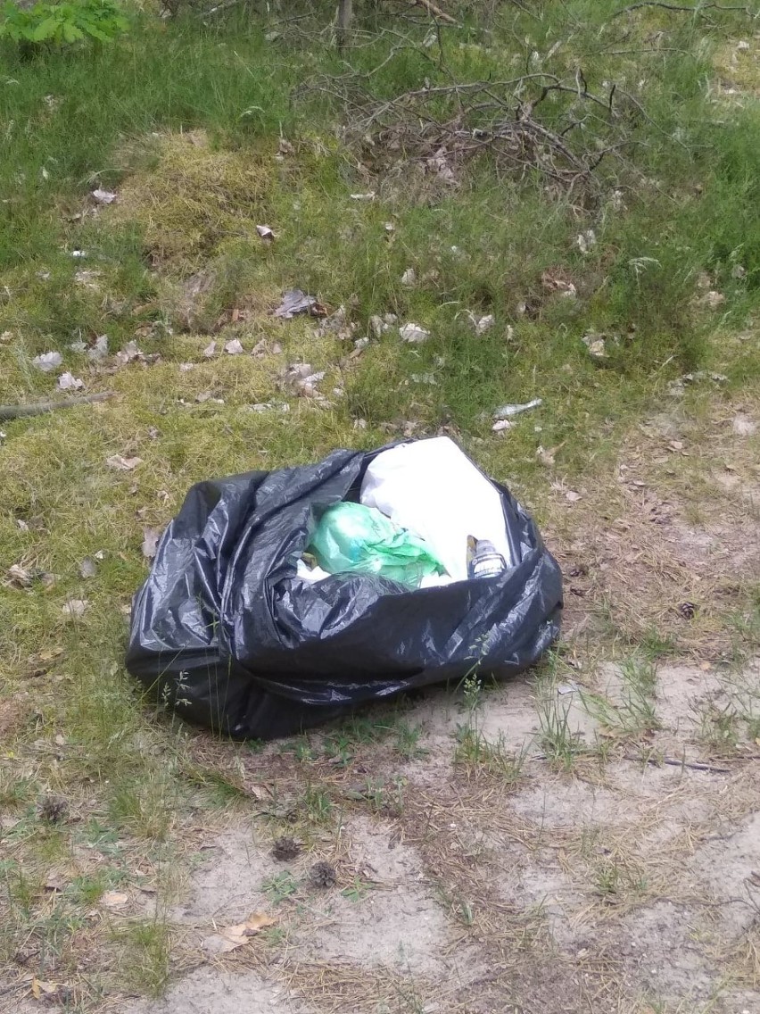 Gmina Lubichowo: dzikie wysypisko śmieci w lesie w Wilczych Błotach [ZDJĘCIA] 