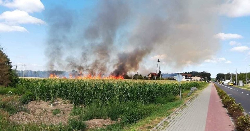 Powiat nowotomyski: Czwartek w ogniu
