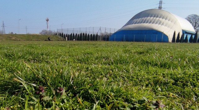 Na razie na 1800 m kw. rośnie soczysta trawa. Czy uda się zrealizować tam skatepark?