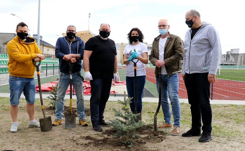 W Jarosławiu posadzili 86 drzew. Na stadionie, osiedlach i ulicach [ZDJĘCIA]