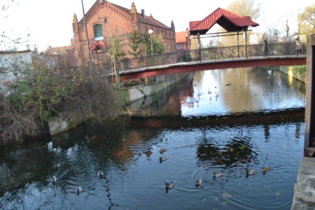 Nowy Dwór Gdański. Rośnie poziom wód w żuławskich rzekach