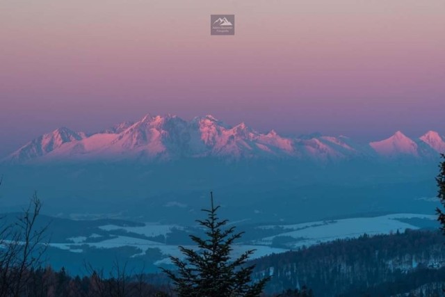 Widok na ośnieżone Tatry z platformy widokowej na Jaworzynie Krynickiej