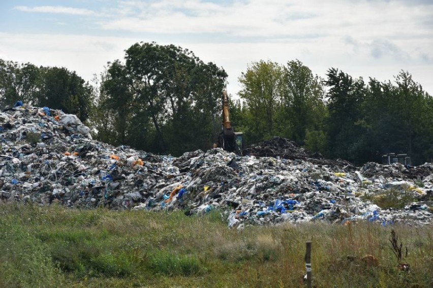 Wojsko wspiera strażaków w walce z pożarem w Pyszącej. Jest...