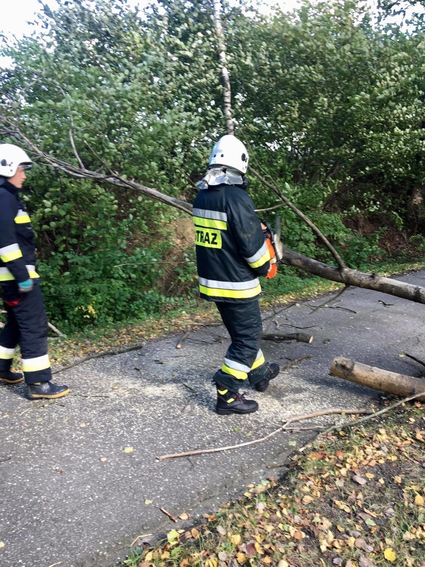Mocno wieje w regionie. Strażacy z Tarnowa i Dąbrowy Tarnowskiej usuwają powalone drzewa i konary. Jedno z nich spadło na zaparkowane auta