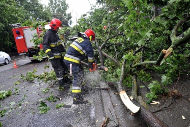 Orkan Grzegorz w Mikołowie: silny wiatr łamał drzewa