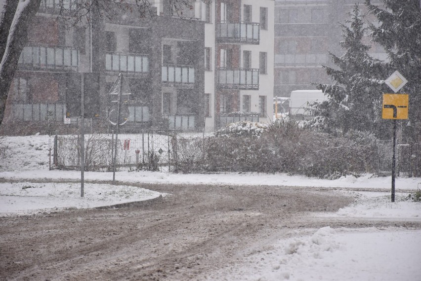 Malbork. Zima pierwszy raz "uderzyła" tak mocno. Obficie pada śnieg, są zawieje i zamiecie