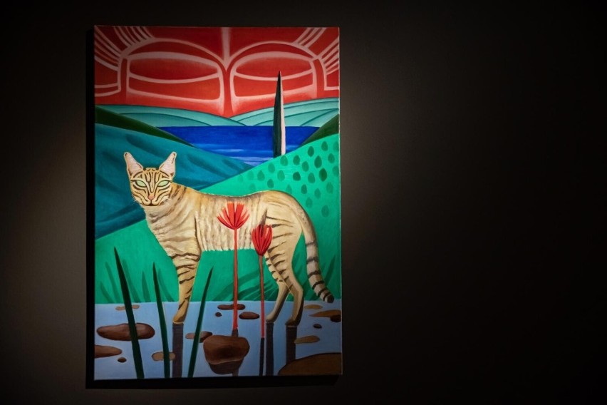 Wystawa "Ja, kot" w muzeum Manggha