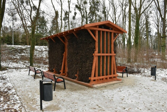 W grudniu druga tężnia w Malborku stanęła w parku miejskim. Solanka może zagrozić 110-letnim drzewom?