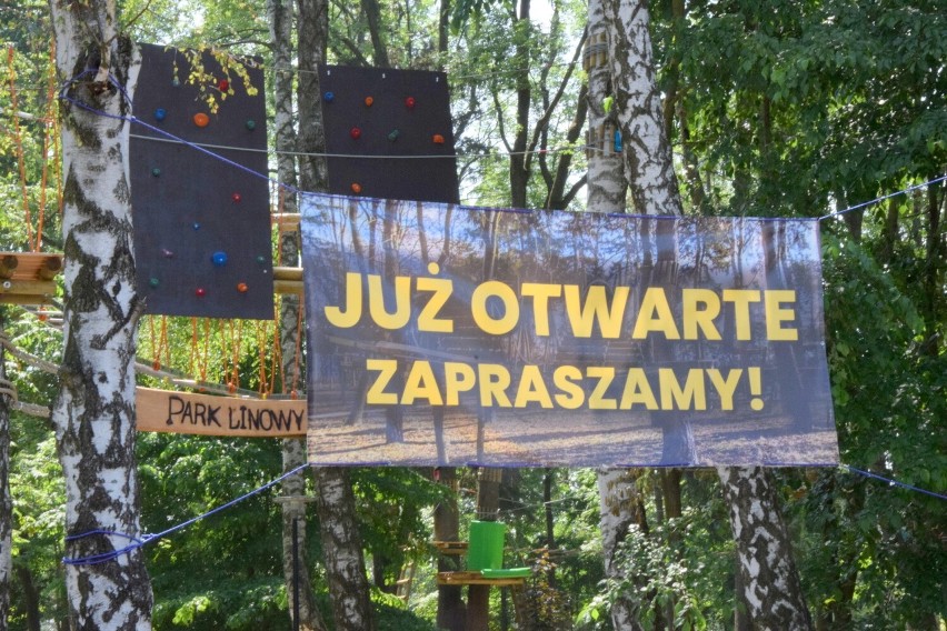 Park Linowy Małpi Gaj w czwartek, 9 czerwca.