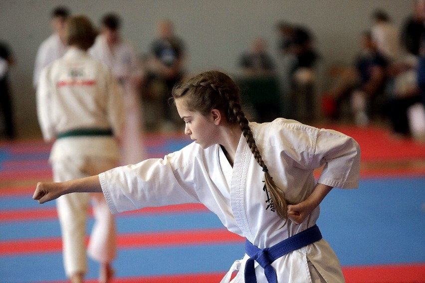 VIII Turniej  Karate Kyokushin Silesia Cup 2023 Legnickie Pole, zobaczcie zdjęcia