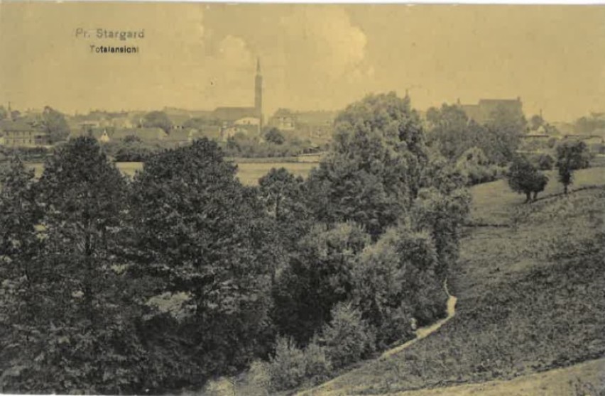 Widok ogólny na miasto od obecnej ulicy A. Mickiewicza, początek XX w.