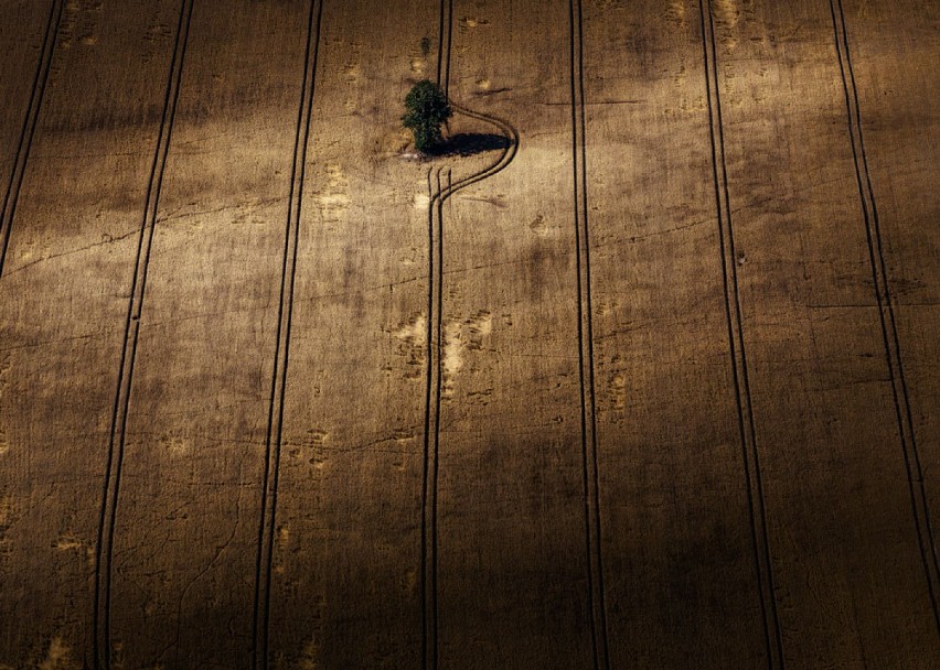 Piękne zdjęcia Piotra Targosza na wystawie w bielskiej Galerii Fotografii B&B