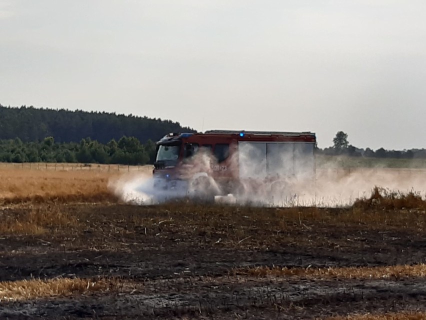 Pożar ścierniska w Karwieńskim Błocie Pierwszym - 8 sierpnia 2020