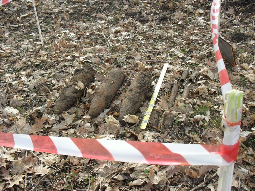 Wykopano niewybuchy w Parku Miejskim w Malborku