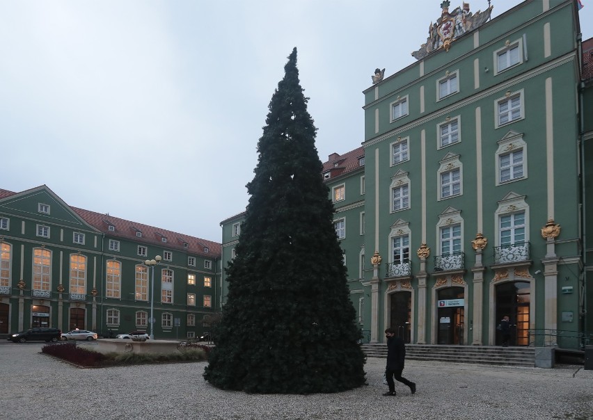 Święta w Szczecinie. Choinka znowu pojawiła się przed urzędem miasta 